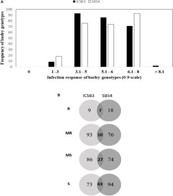 Genome Wide Association Mapping of Spot Blotch Resistance at Seedling and Adult Plant Stages in Barley